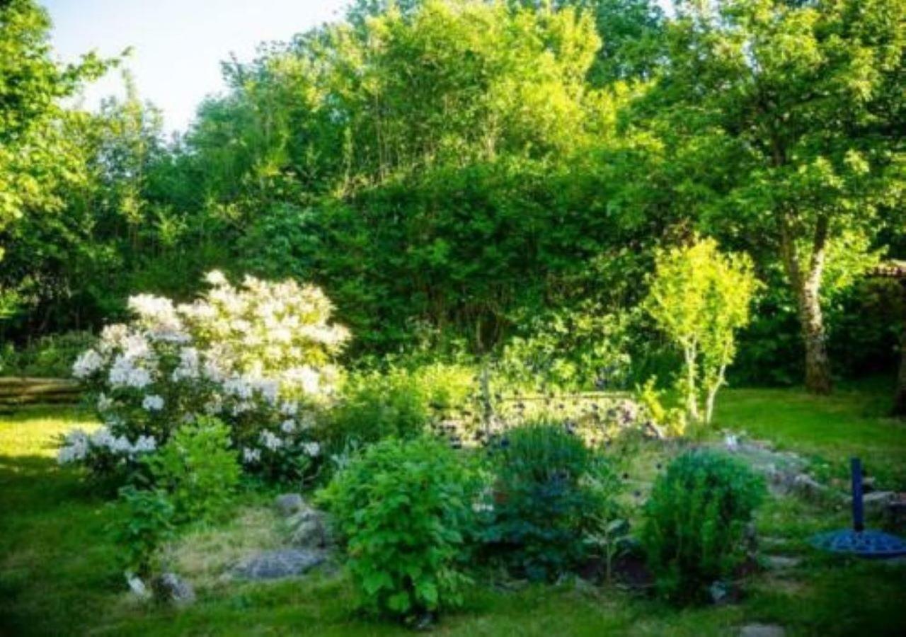 Bed and Breakfast L'Embellie Bertignat Zewnętrze zdjęcie